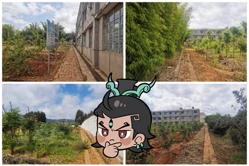 《一念逍遥》青云计划即将落地云南 逍遥守护录上线